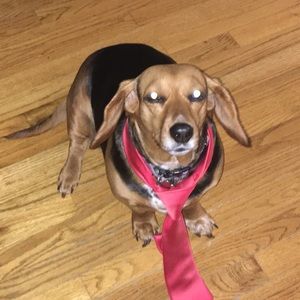 Meet your Posher, Johnathon